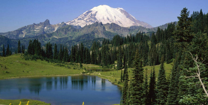 上海泽宇智能科技有限公司轮播图1